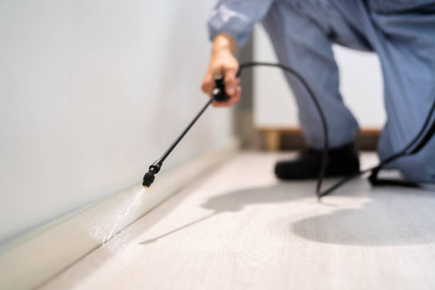 Licensed Termite Control service in Evansville, IN - Nex Pest Control