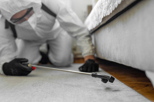 Professional Termite Control technician working in Evansville, IN