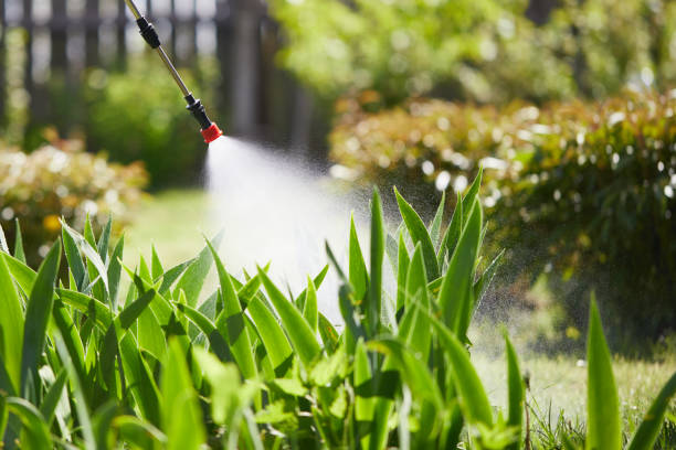 24/7 Emergency Termite Control experts in Evansville, IN