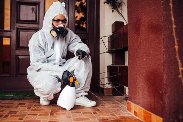 Reliable Termite Control contractor in Evansville, IN by Nex Pest Control