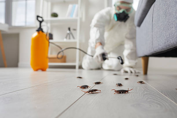 Trusted Cockroach Control service in Evansville, IN - Nex Pest Control