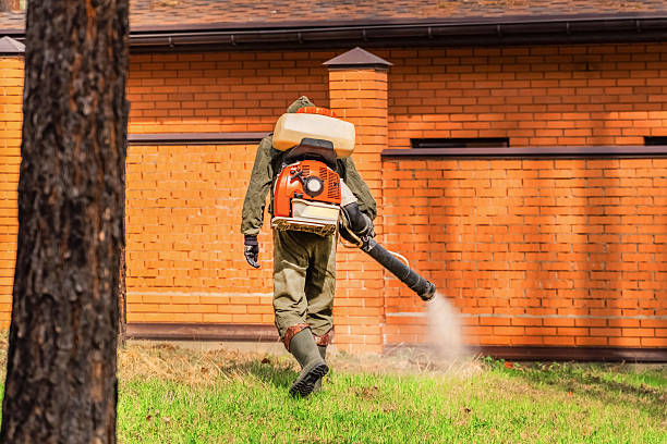 Trusted Rodent Control service in Evansville, IN - Nex Pest Control